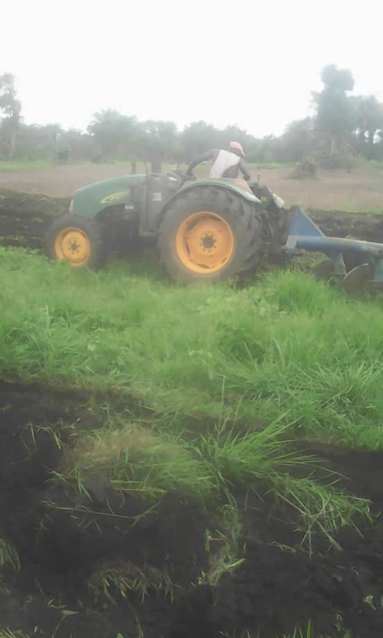 Tractor working field
